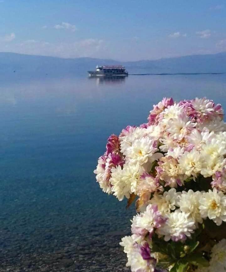 Apartmani Bakule Peštani المظهر الخارجي الصورة
