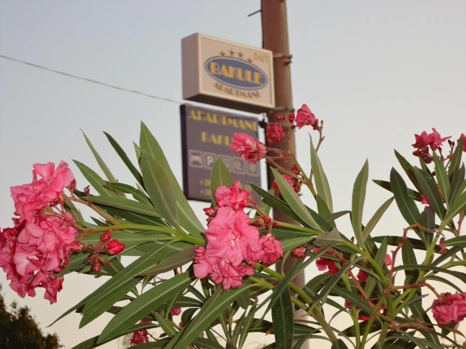 Apartmani Bakule Peštani الغرفة الصورة